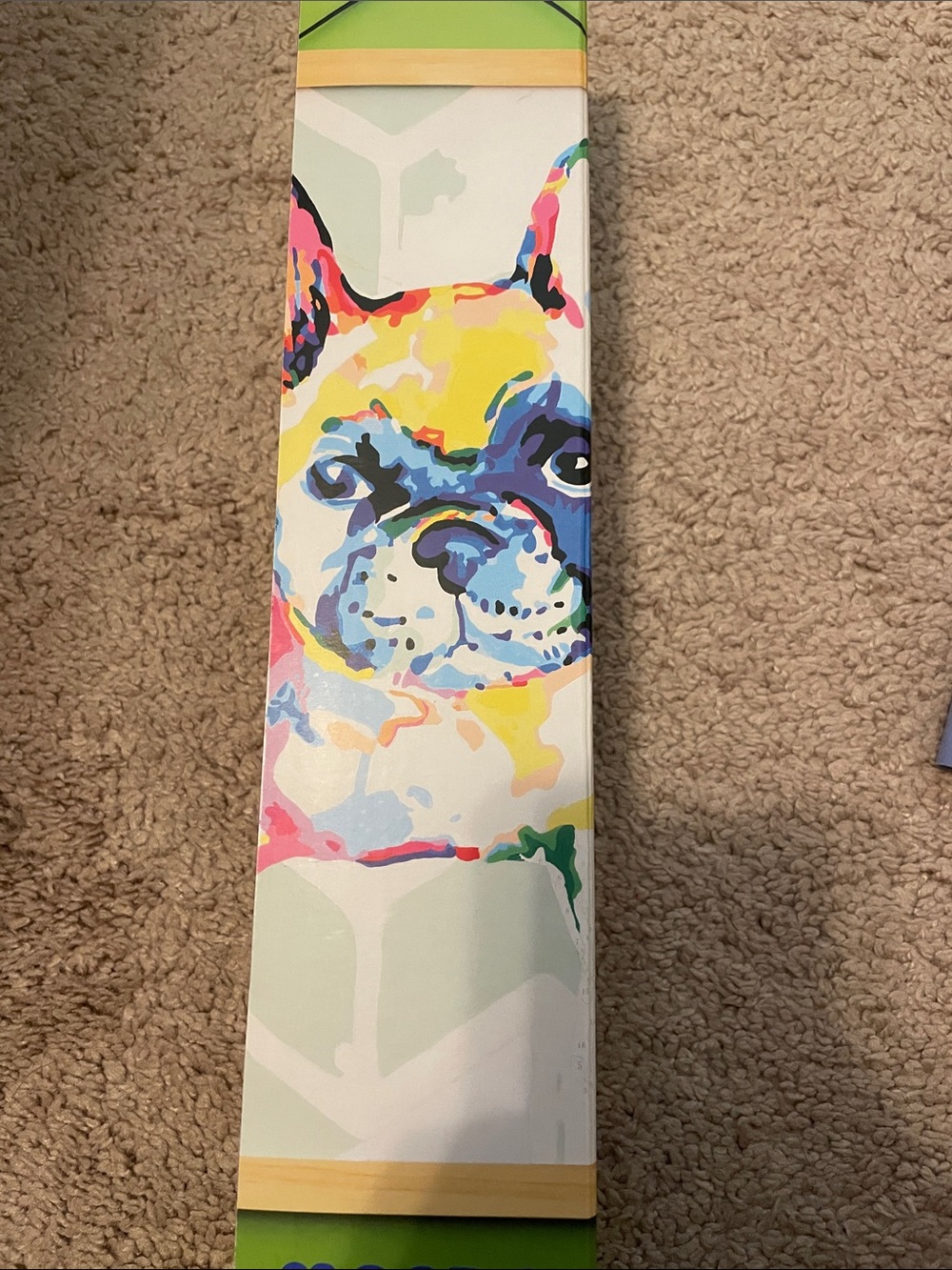 Mondo Llama paint by number canvas kit: French Bulldog NWT